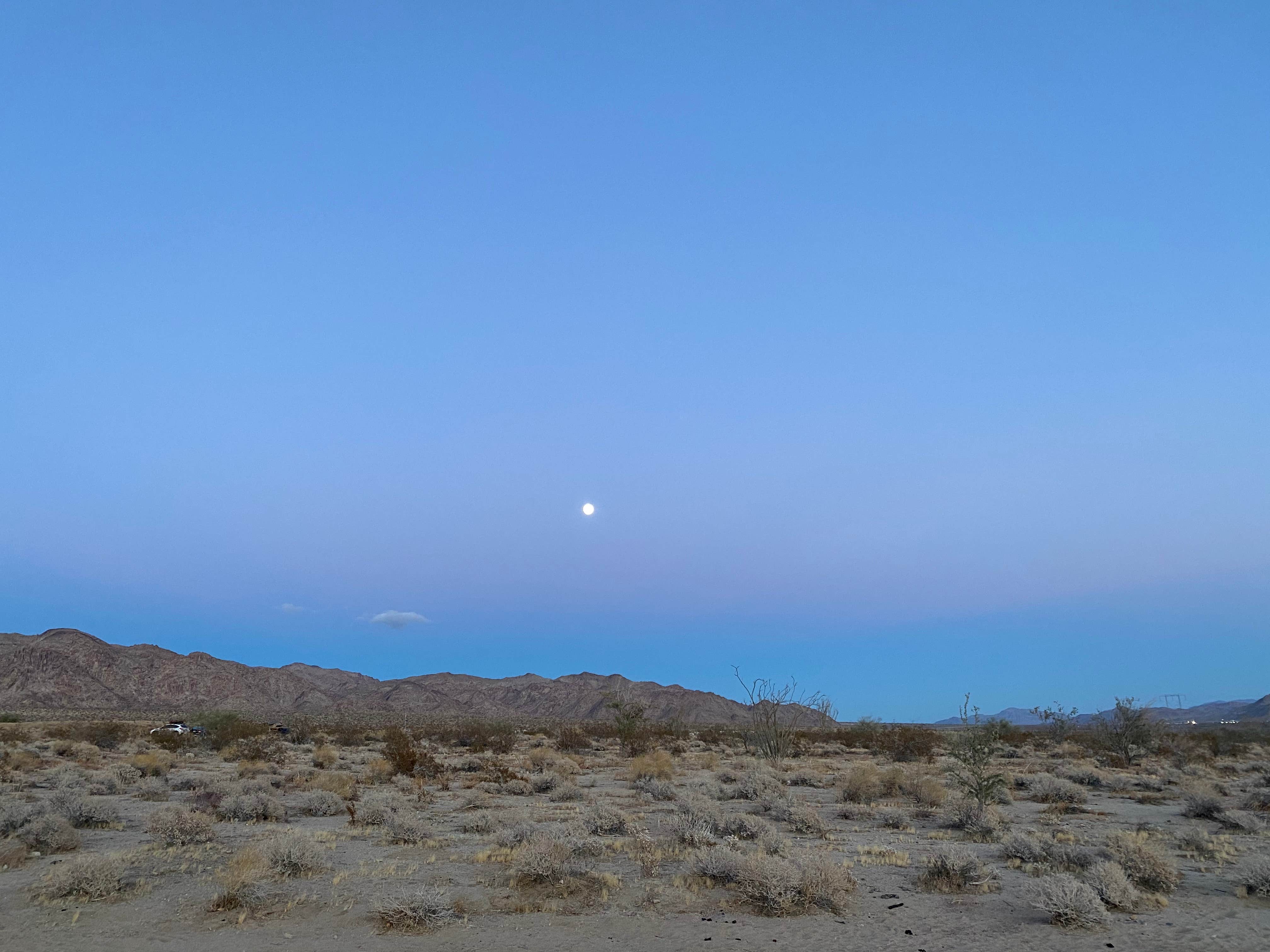 Joshua Tree South - BLM Dispersed