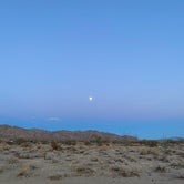 Review photo of Joshua Tree South - BLM Dispersed by Angela G., December 31, 2020