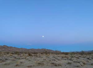 Joshua Tree South - BLM Dispersed