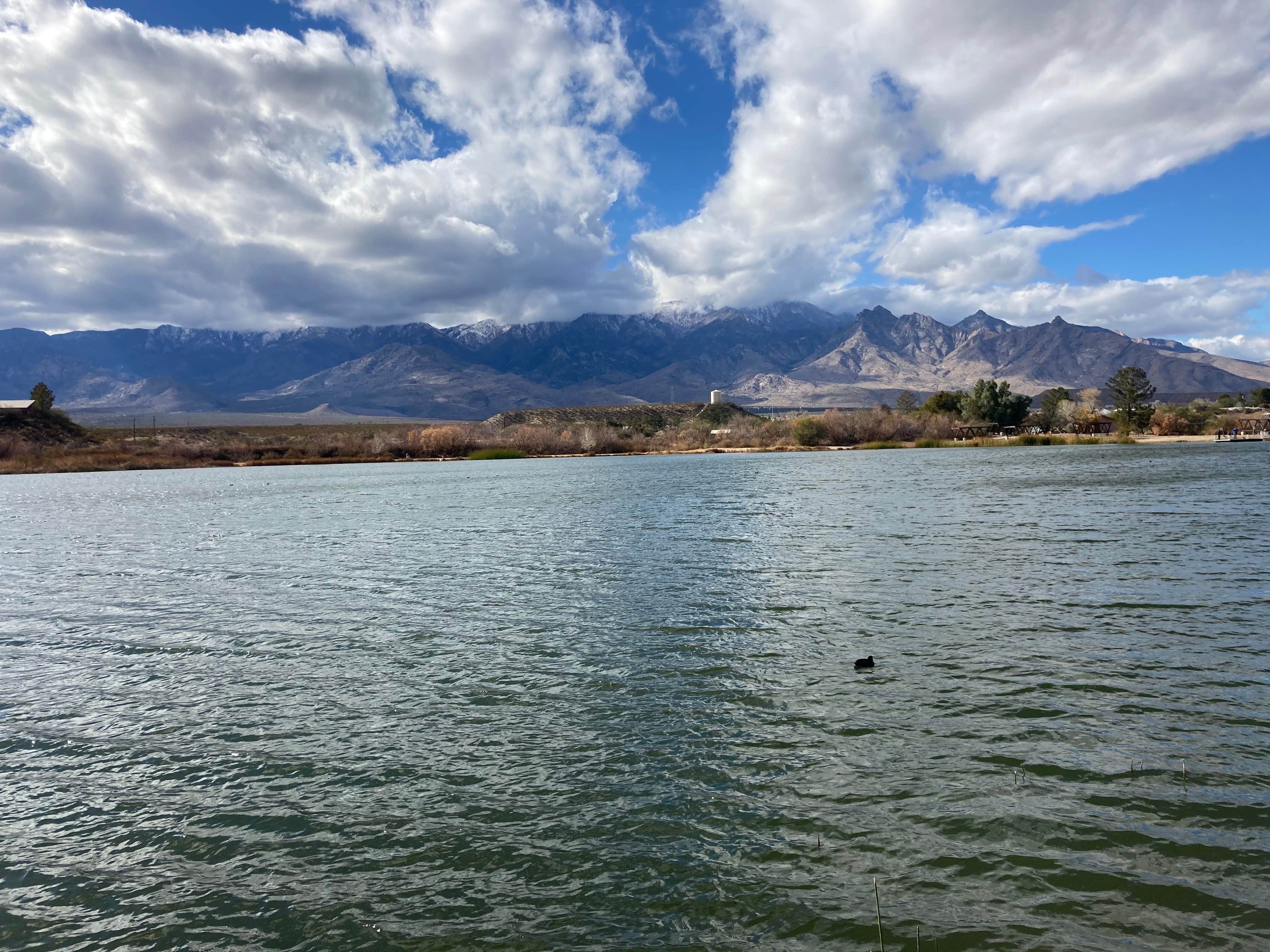 Camper-submitted photo at Cottonwood Campground — Roper Lake State Park near Safford, AZ