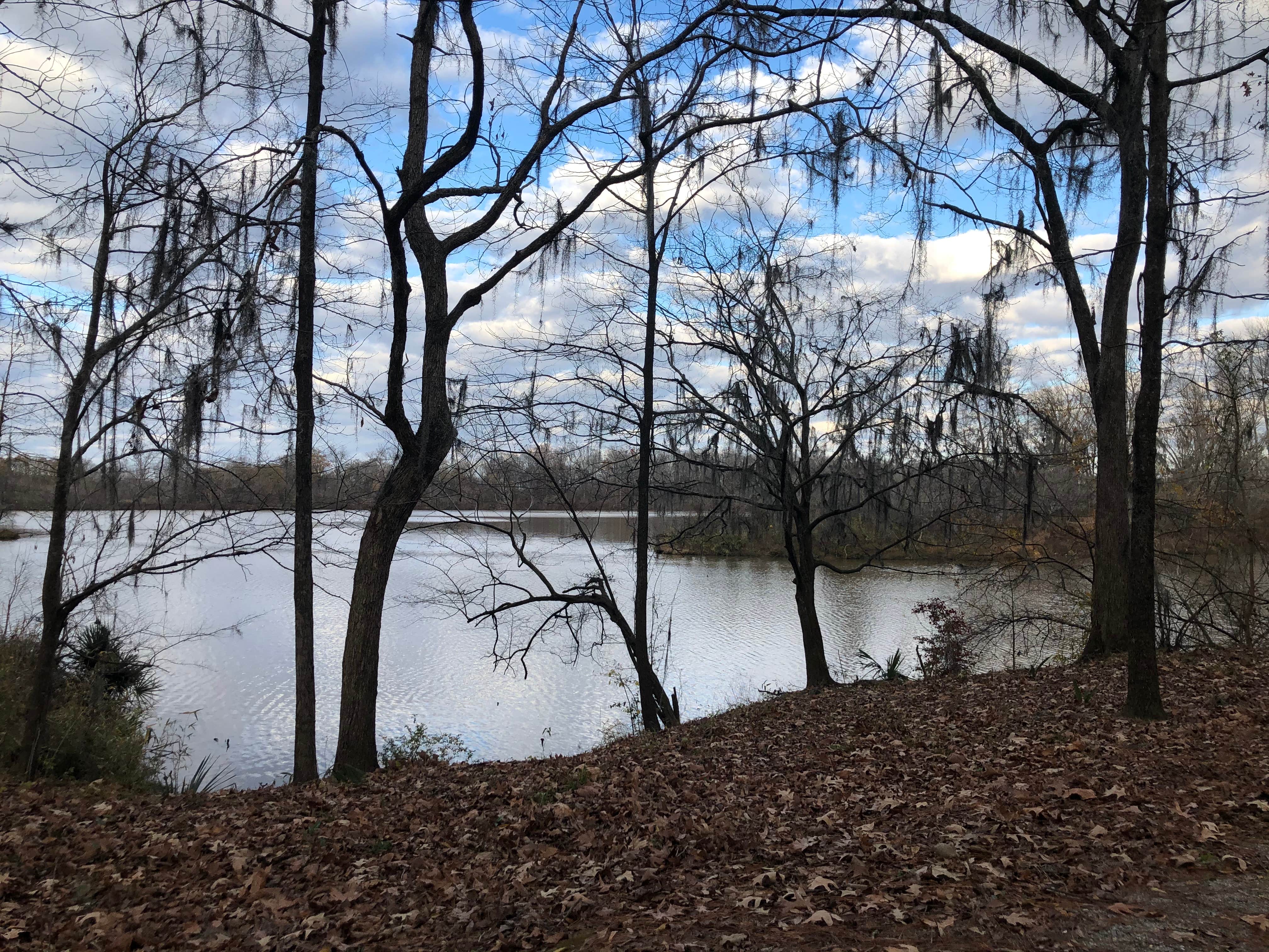 Camper-submitted photo at Gunter Hill in Alabama