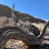 Review photo of Death Valley: Dispersed Camping East Side of Park by Sam O., December 31, 2020