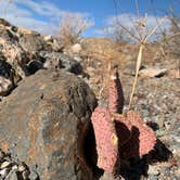 Review photo of Death Valley: Dispersed Camping East Side of Park by Sam O., December 31, 2020