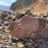 Review photo of Death Valley: Dispersed Camping East Side of Park by Sam O., December 31, 2020