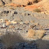 Review photo of Death Valley: Dispersed Camping East Side of Park by Sam O., December 31, 2020