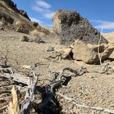 Review photo of Death Valley: Dispersed Camping East Side of Park by Sam O., December 31, 2020