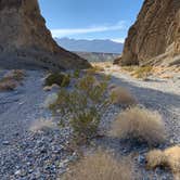 Review photo of Death Valley: Dispersed Camping East Side of Park by Sam O., December 31, 2020