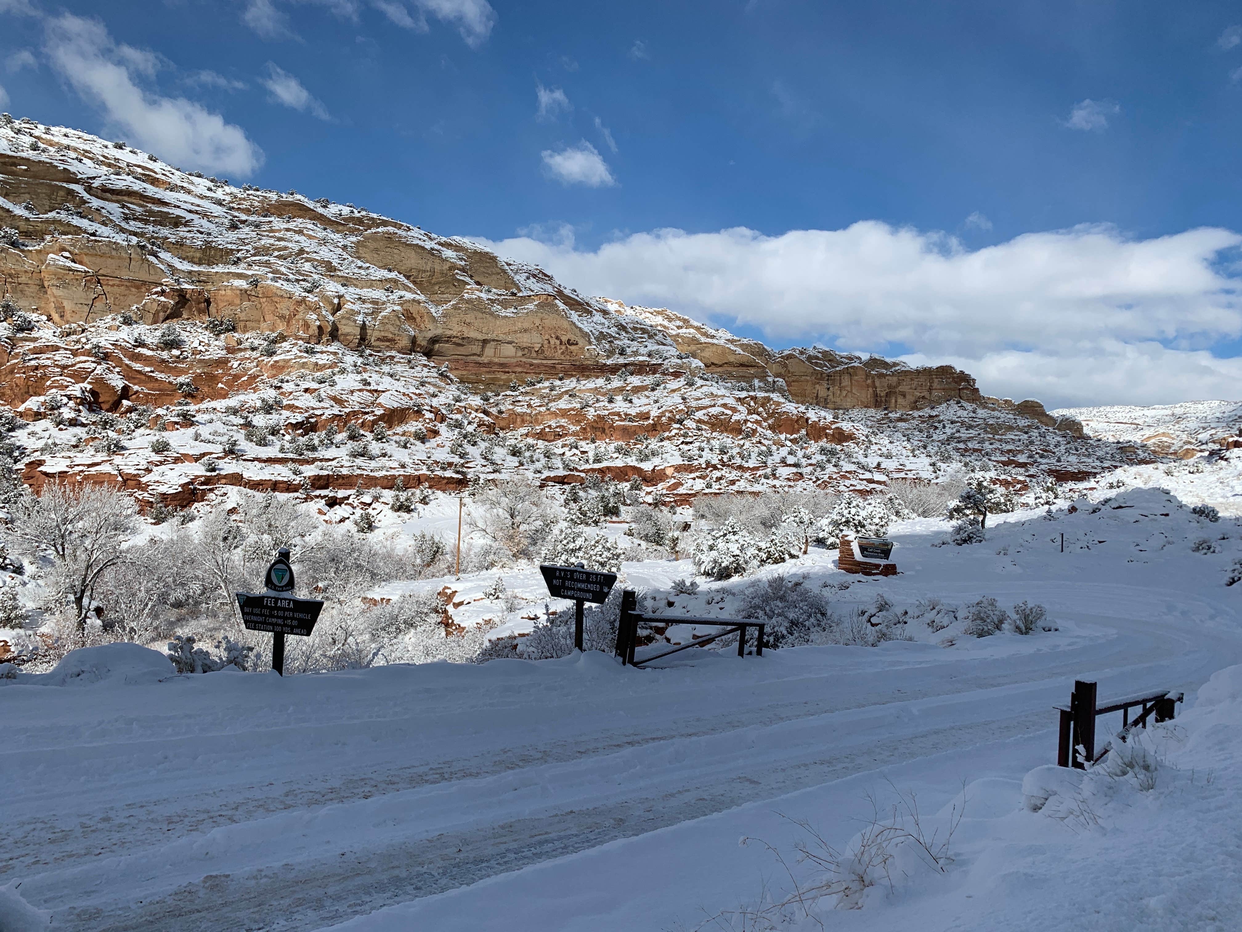 Camper submitted image from Calf Creek Campground - 1