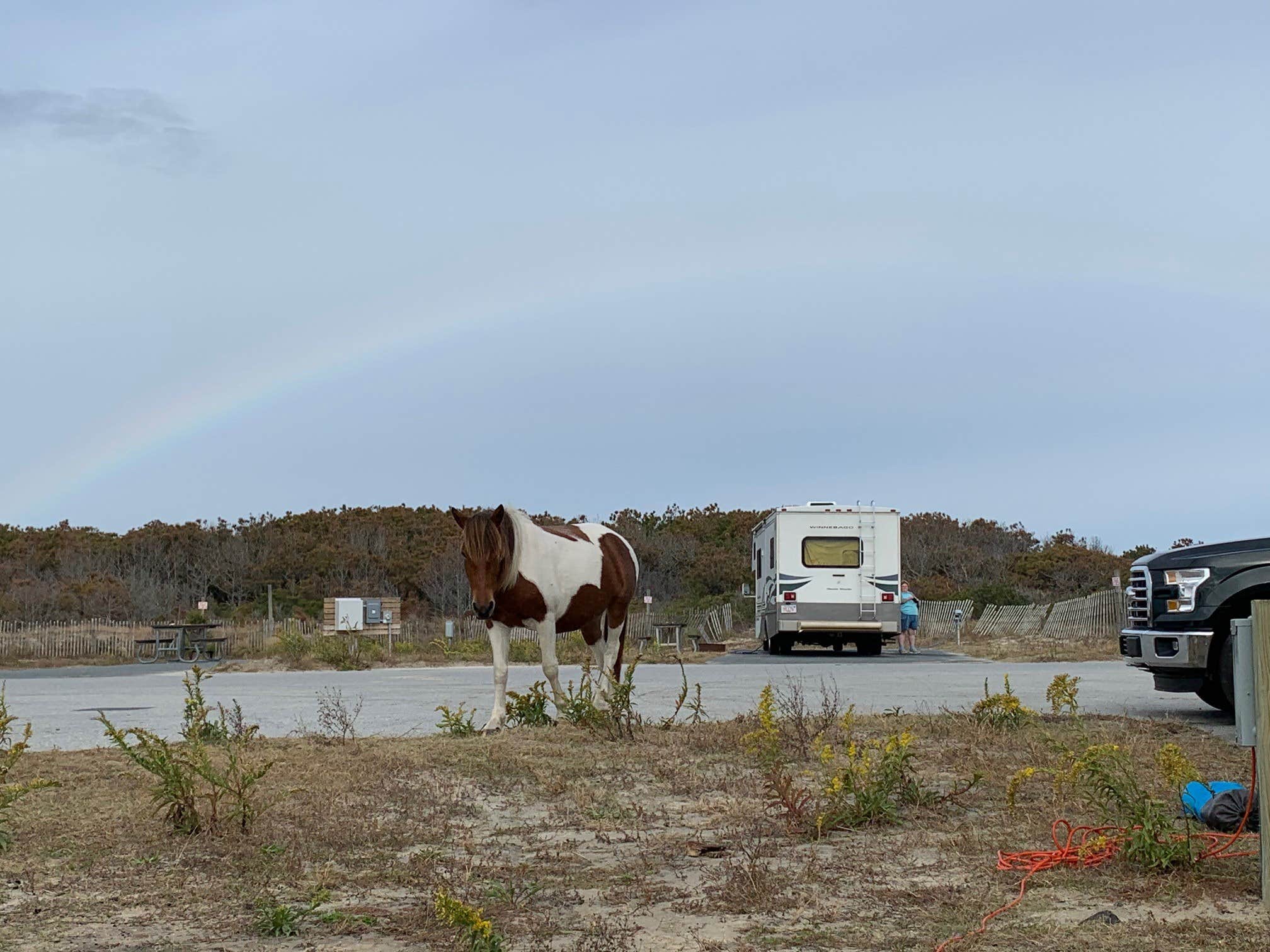Camper-submitted photo at Assateague State Park Campground in Maryland