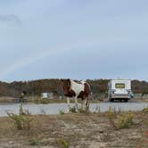 Review photo of Assateague State Park Campground by Jen V., December 31, 2020