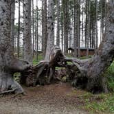 Review photo of Cape Lookout State Park Campground by Debra F., May 26, 2018
