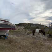 Review photo of Assateague State Park Campground by Jen V., December 31, 2020