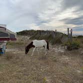 Review photo of Assateague State Park Campground by Jen V., December 31, 2020