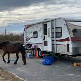 Review photo of Assateague State Park Campground by Jen V., December 31, 2020