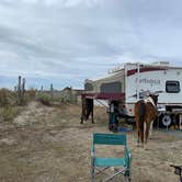 Review photo of Assateague State Park Campground by Jen V., December 31, 2020