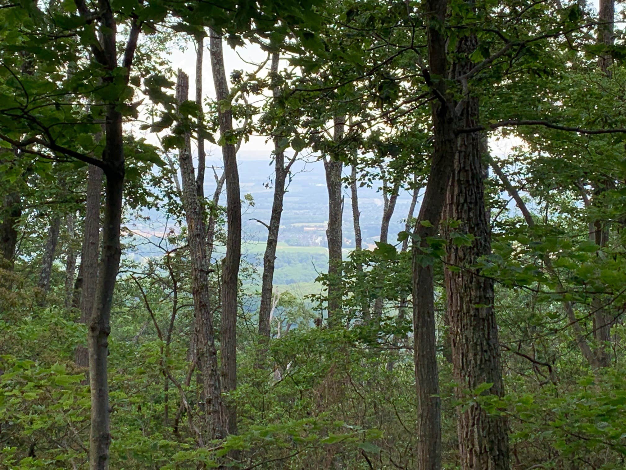 Camper-submitted photo at Gambrill State Park Campground near Frederick, MD