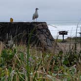 Review photo of Cape Lookout State Park Campground by Debra F., May 26, 2018