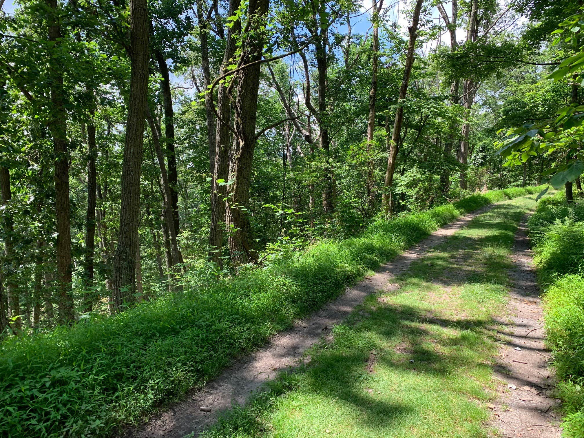 Camper-submitted photo at Gambrill State Park Campground near Frederick, MD