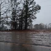 Review photo of Landry Vineyards Grape Escape RV Sites by Adam V., December 31, 2020