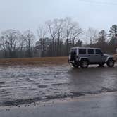 Review photo of Landry Vineyards Grape Escape RV Sites by Adam V., December 31, 2020