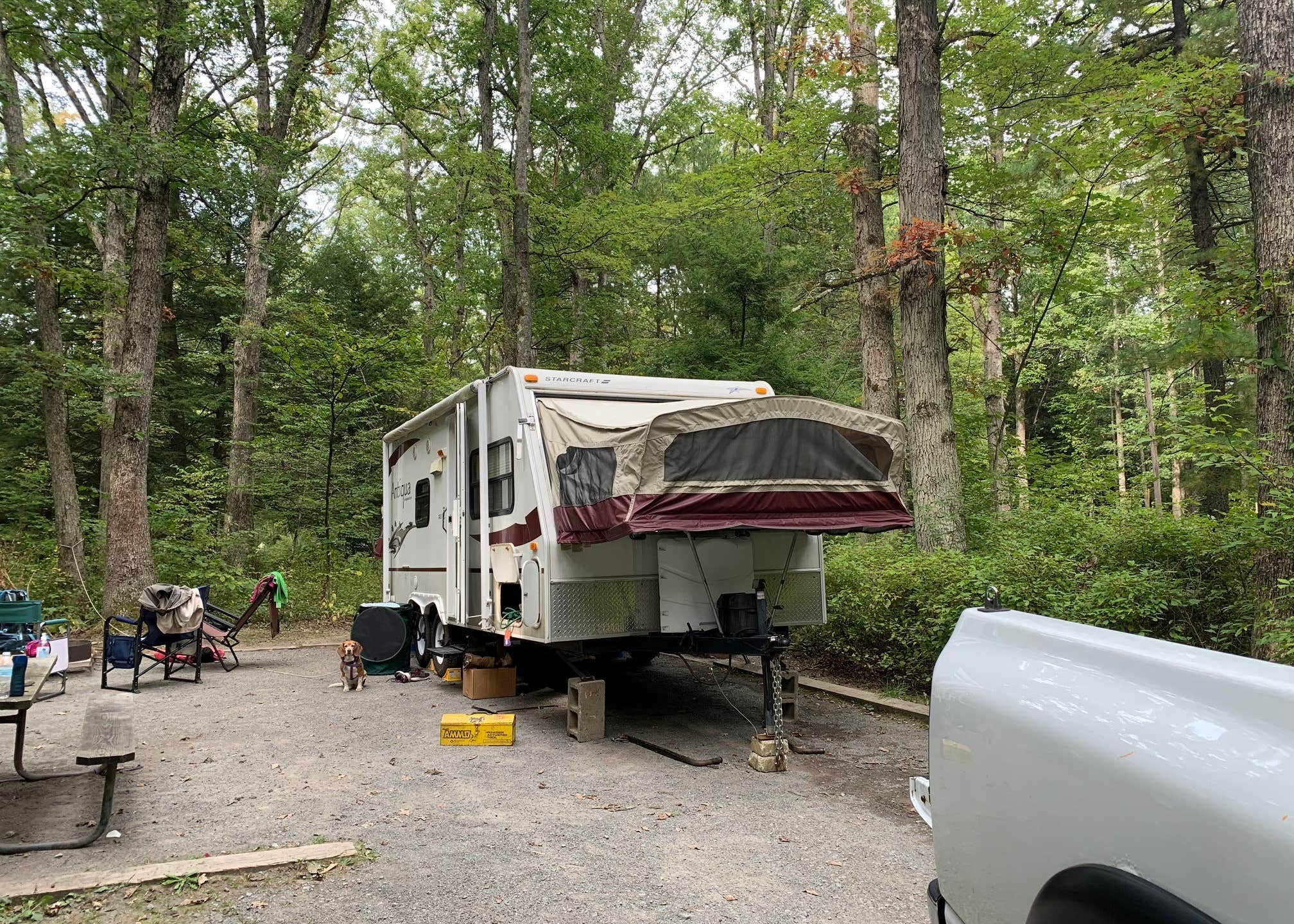 Swallow Falls State Park Camping The Dyrt