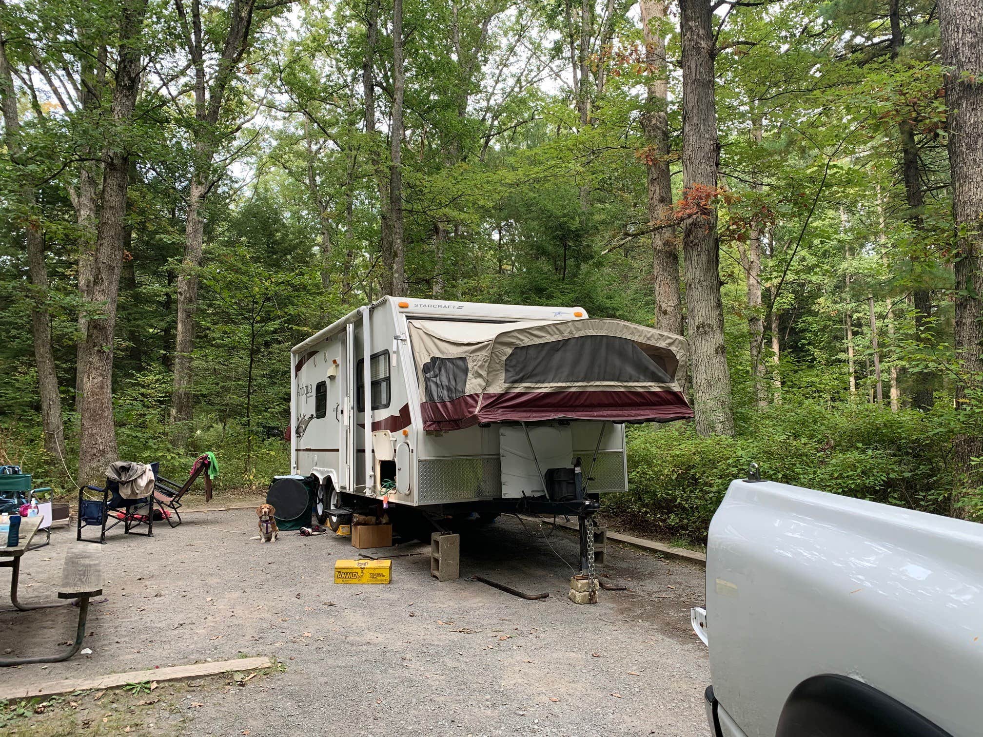 Camper submitted image from Swallow Falls State Park Campground - 1