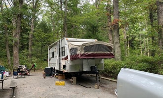 Camping near Private Lake/Beach Cabin, Golf, Fire Pit, & WiFi!: Swallow Falls State Park, Oakland, Maryland