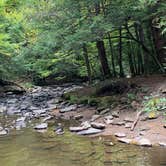 Review photo of Swallow Falls State Park Campground by Jen V., December 31, 2020