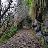Review photo of Cape Lookout State Park Campground by Debra F., May 26, 2018