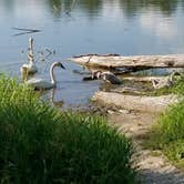 Review photo of Pine Ridge Campground — Itasca State Park by Debra F., May 26, 2018