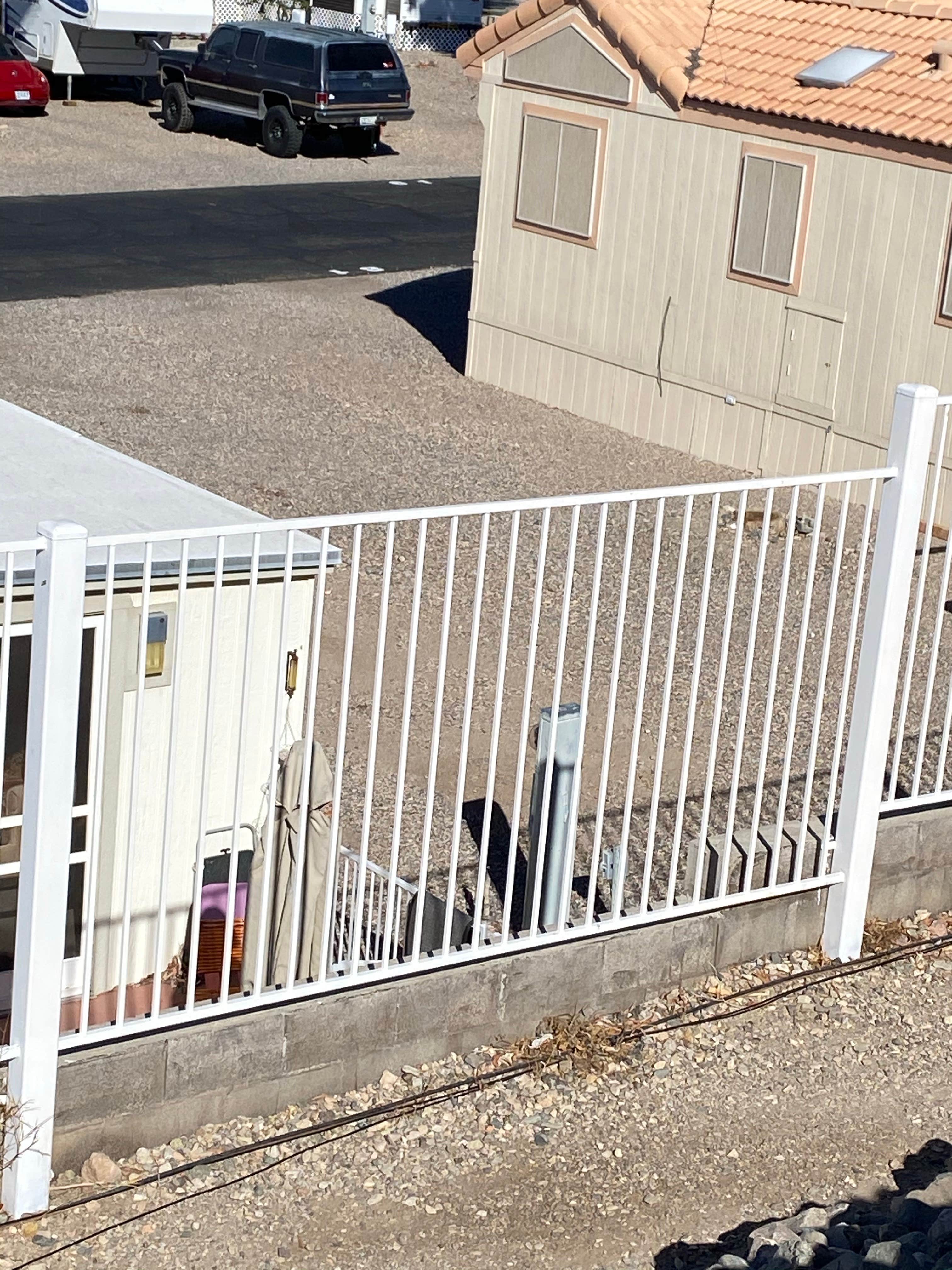 Camper-submitted photo at DJ's RV Park near Lake Havasu City, AZ