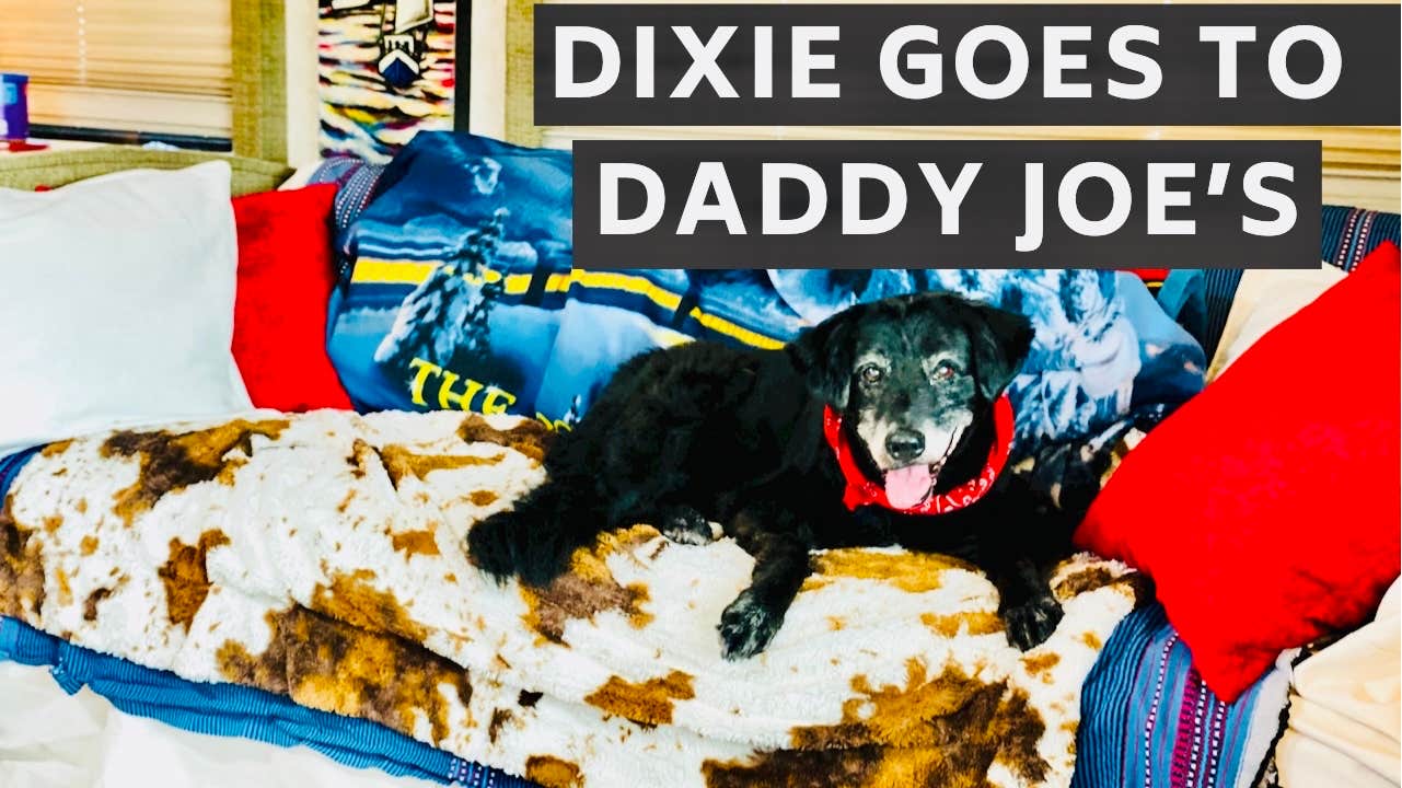 Camper-submitted photo at Yogi Bear's Jellystone Park at Daddy Joe's near Leland, NC