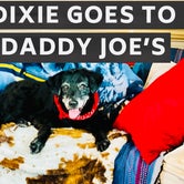 Review photo of Yogi Bear's Jellystone Park at Daddy Joe's by Barbara  S., December 31, 2020