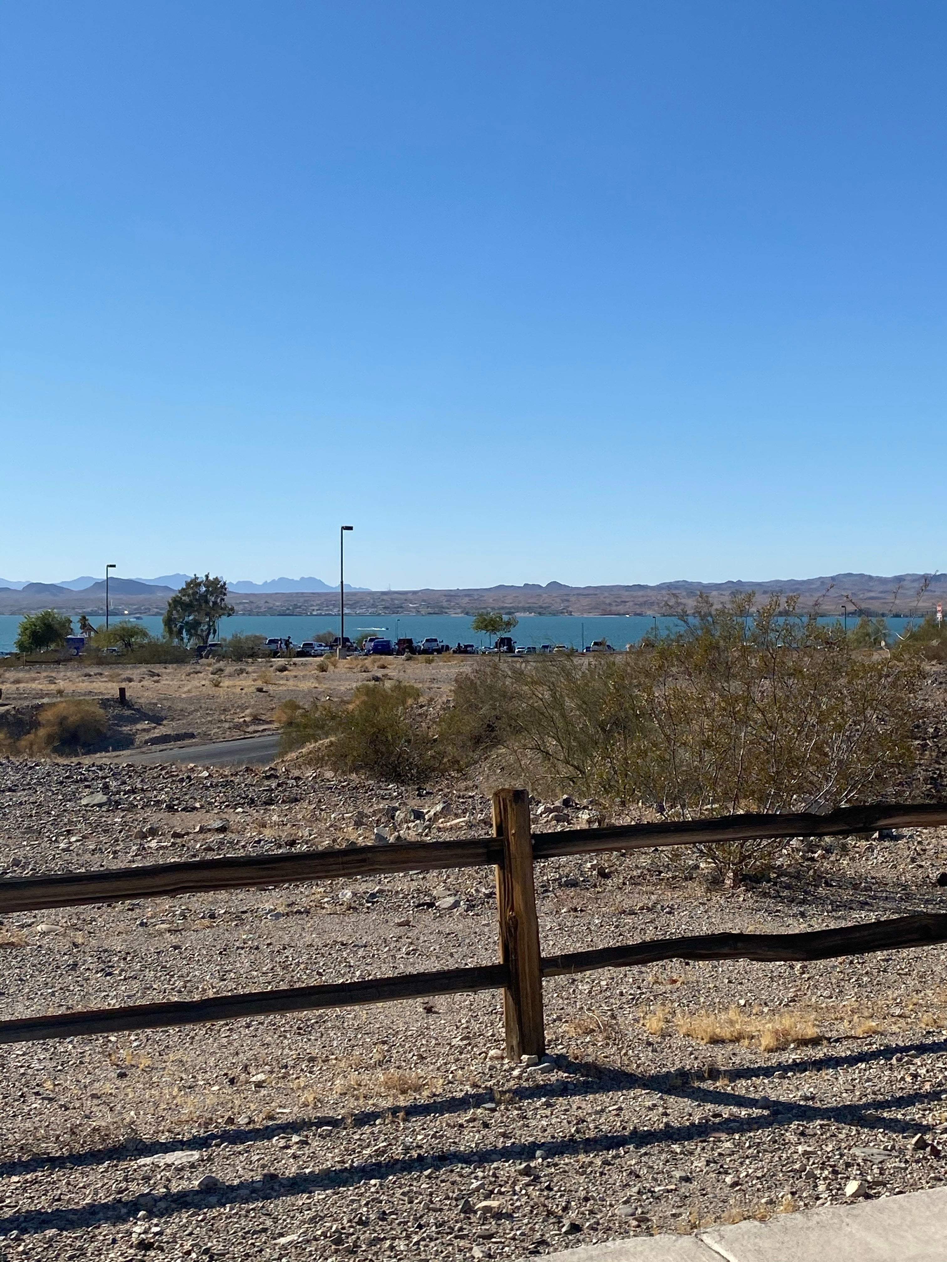 Camper submitted image from Lake Havasu State Park Campground - 3