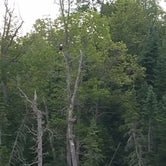 Review photo of Itasca State Park Campground by Debra F., May 26, 2018