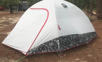 Ashley R.'s photo at Sesquicentennial State Park Campground near West Columbia, SC