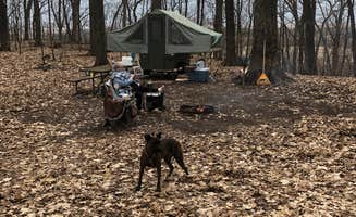 Michael  L.'s photo of camping with pets at Ledge County Park near Menomonee Falls, WI