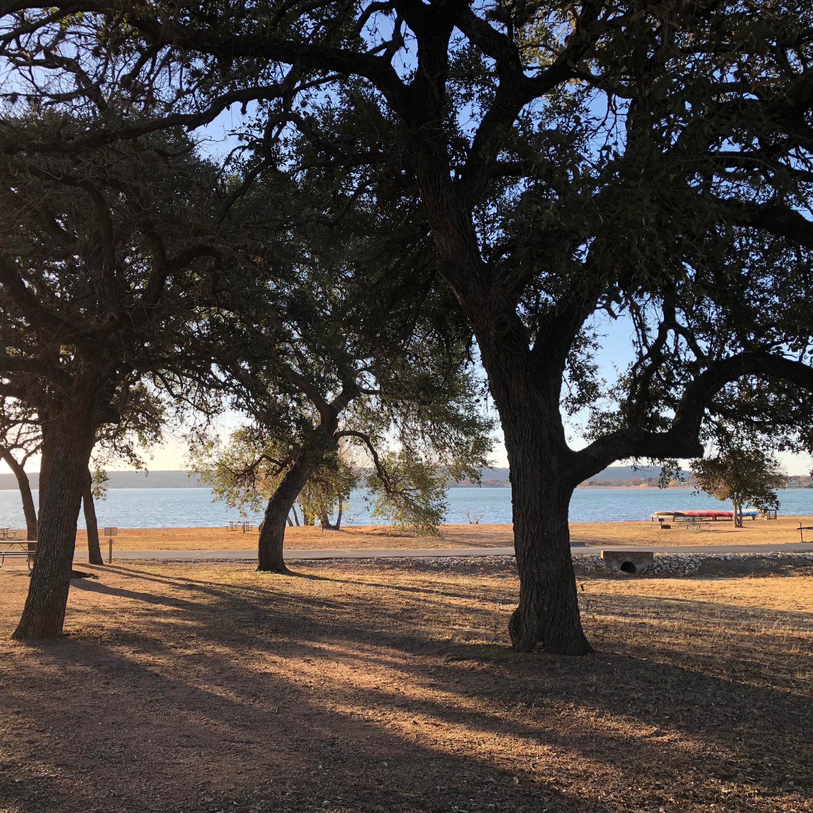 Black Rock Park Camping The Dyrt