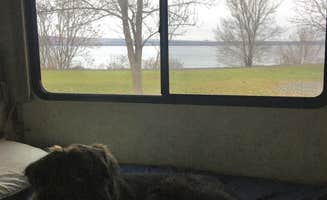 Rocco's photo of camping with pets at Boardman Marina Park near Prosser, WA