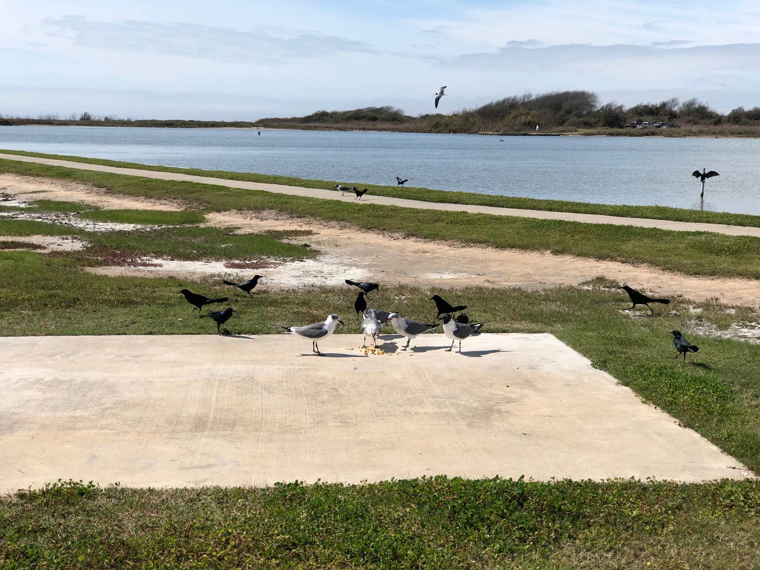 Matagorda Bay Nature Park | The Dyrt