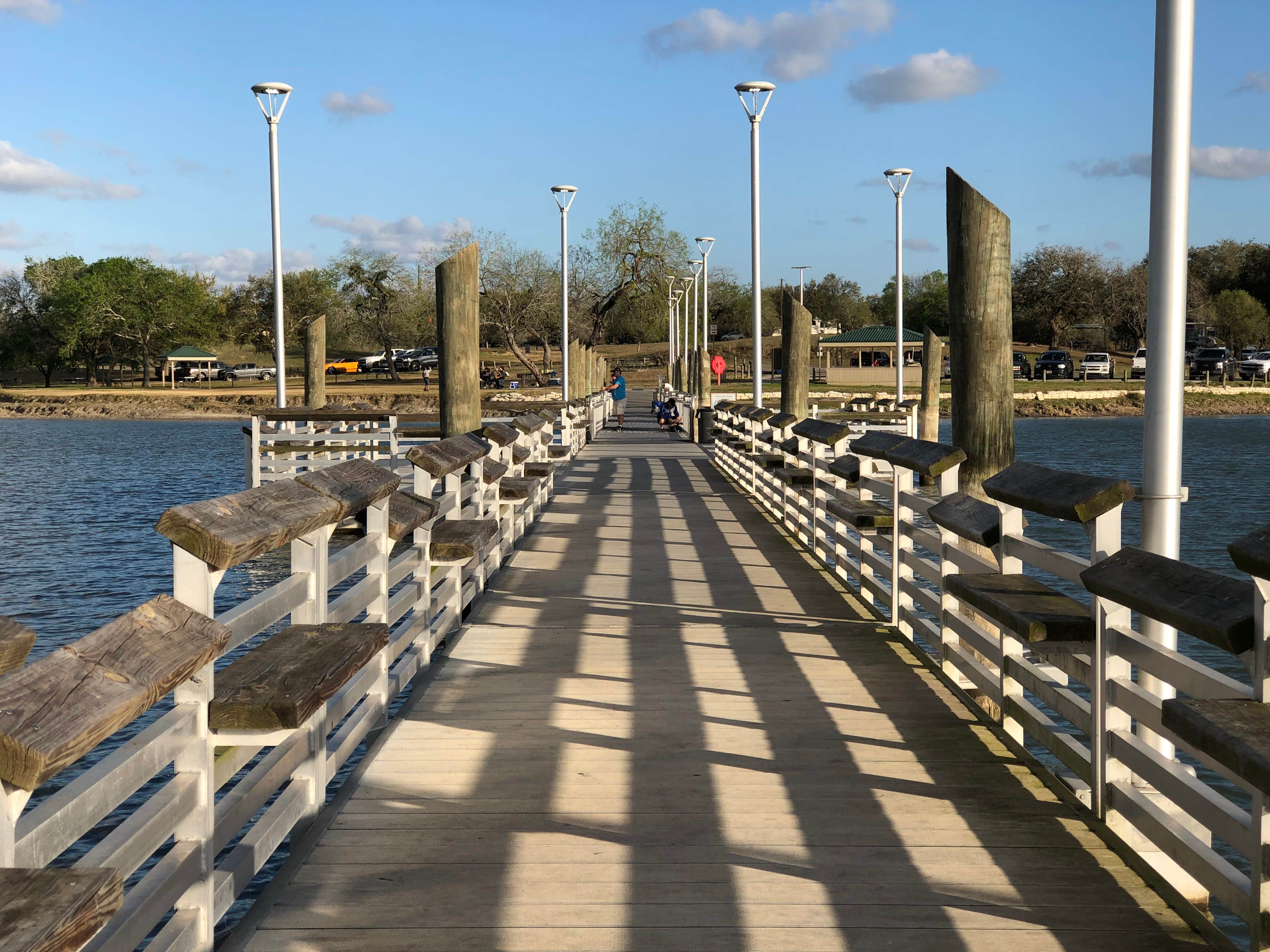 Camper submitted image from Lake Corpus Christi State Park Campground - 1