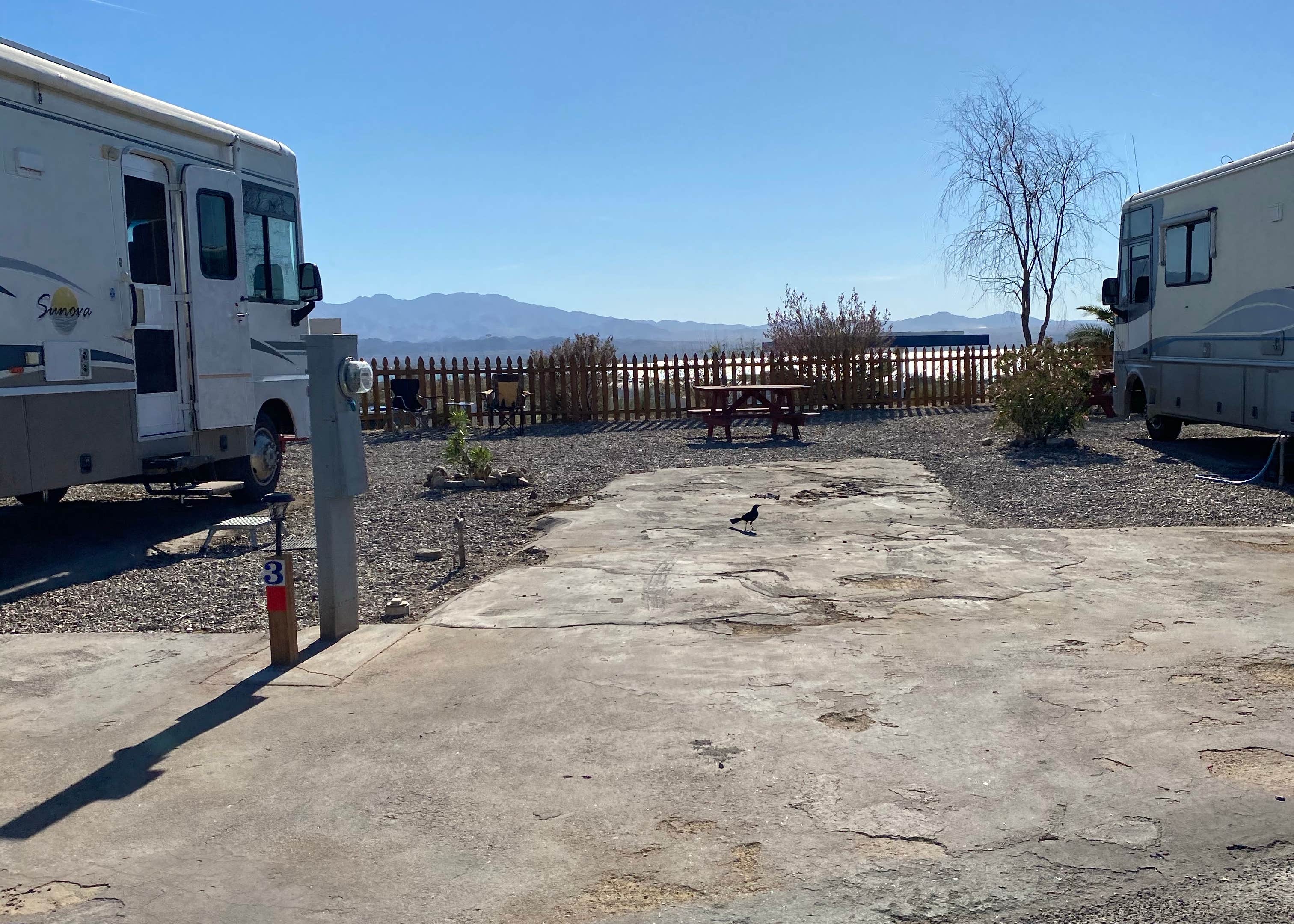 Campbell Cove RV Resort Camping The Dyrt