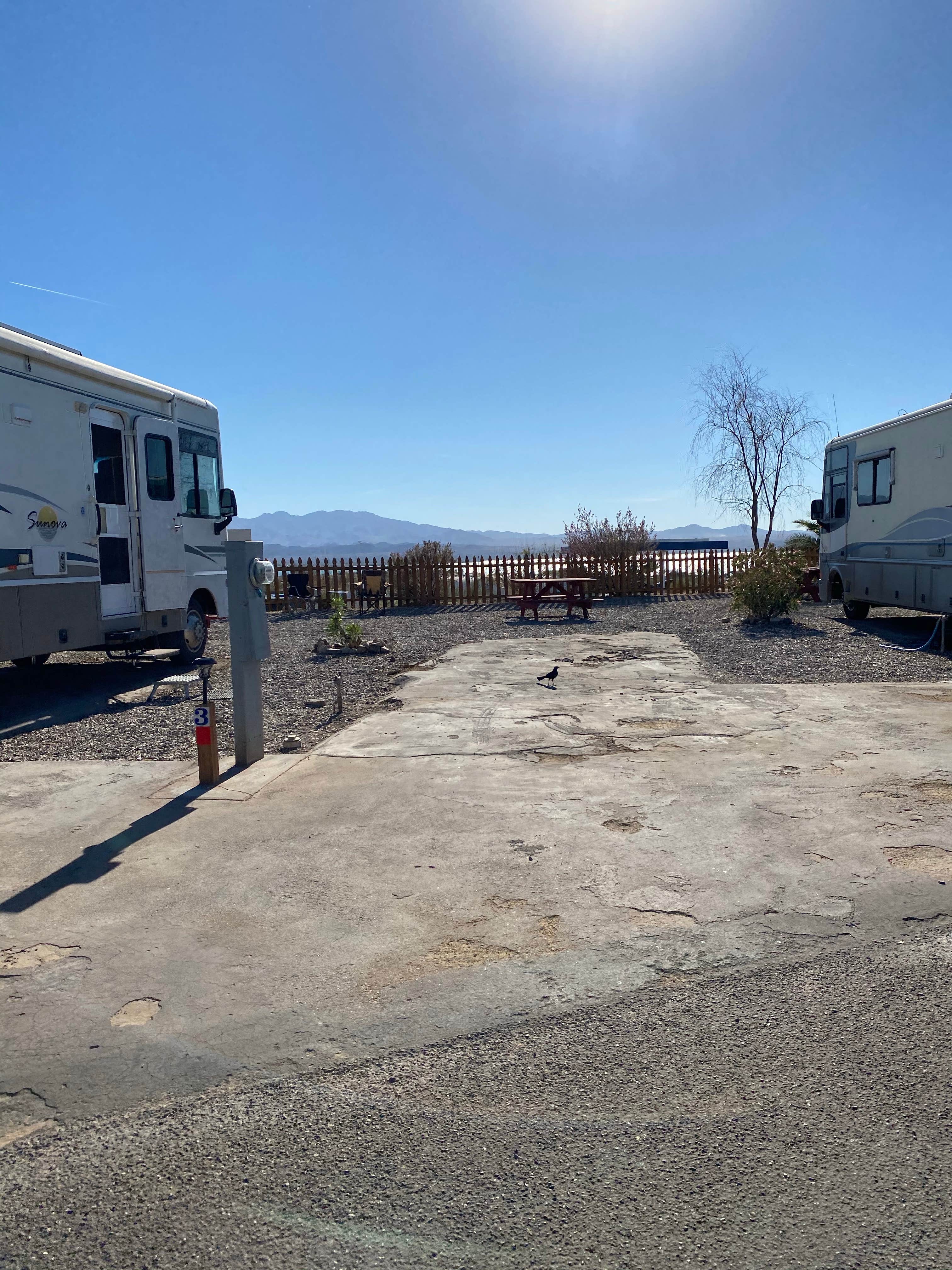 Brittney  C.'s photo of rv camping at Campbell Cove RV Resort near Lake Havasu City, AZ