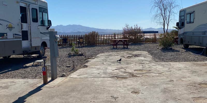 Camper submitted image from Campbell Cove RV Resort