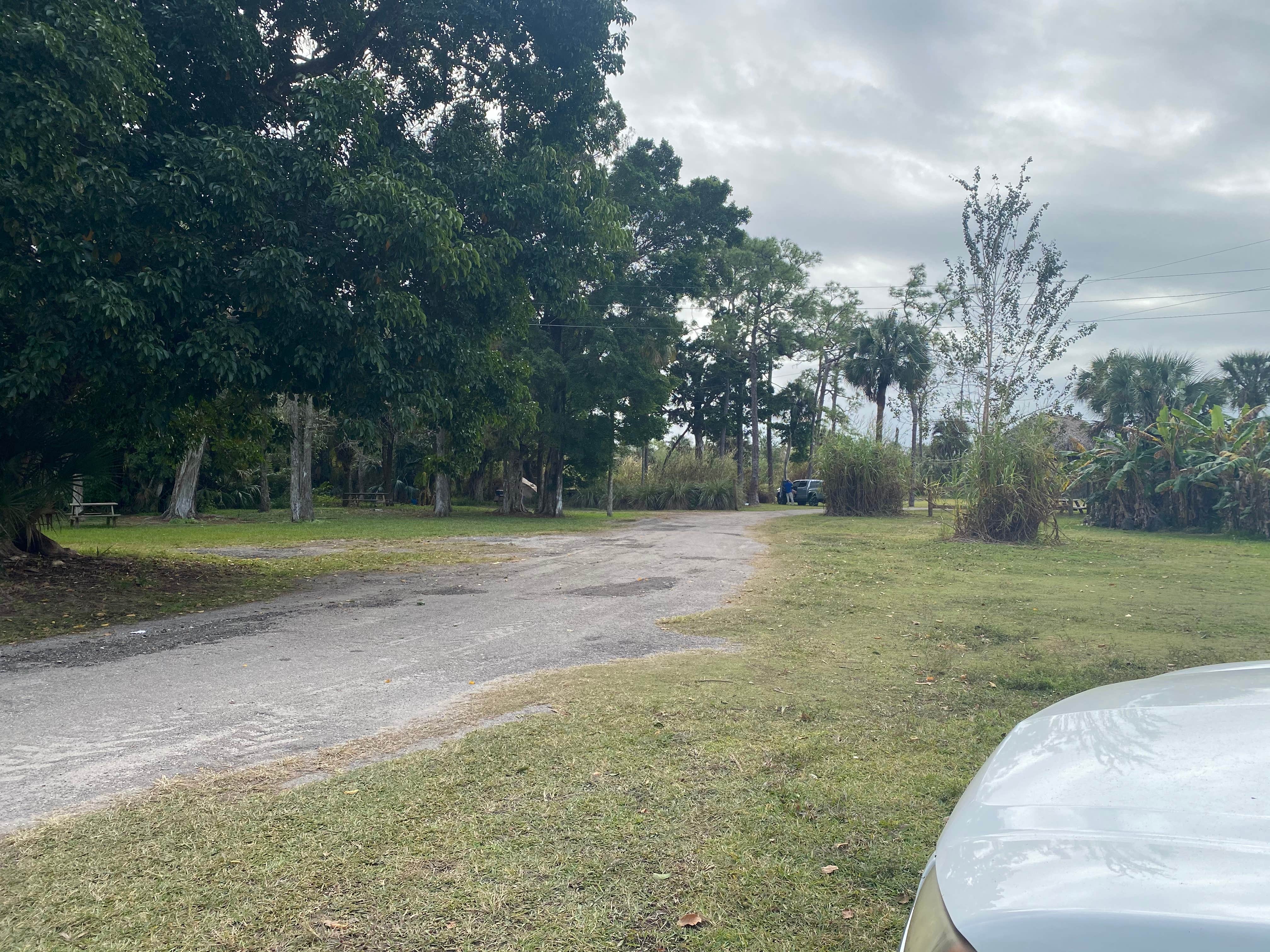 Camper-submitted photo at Trail Lakes Campground near Everglades City, FL
