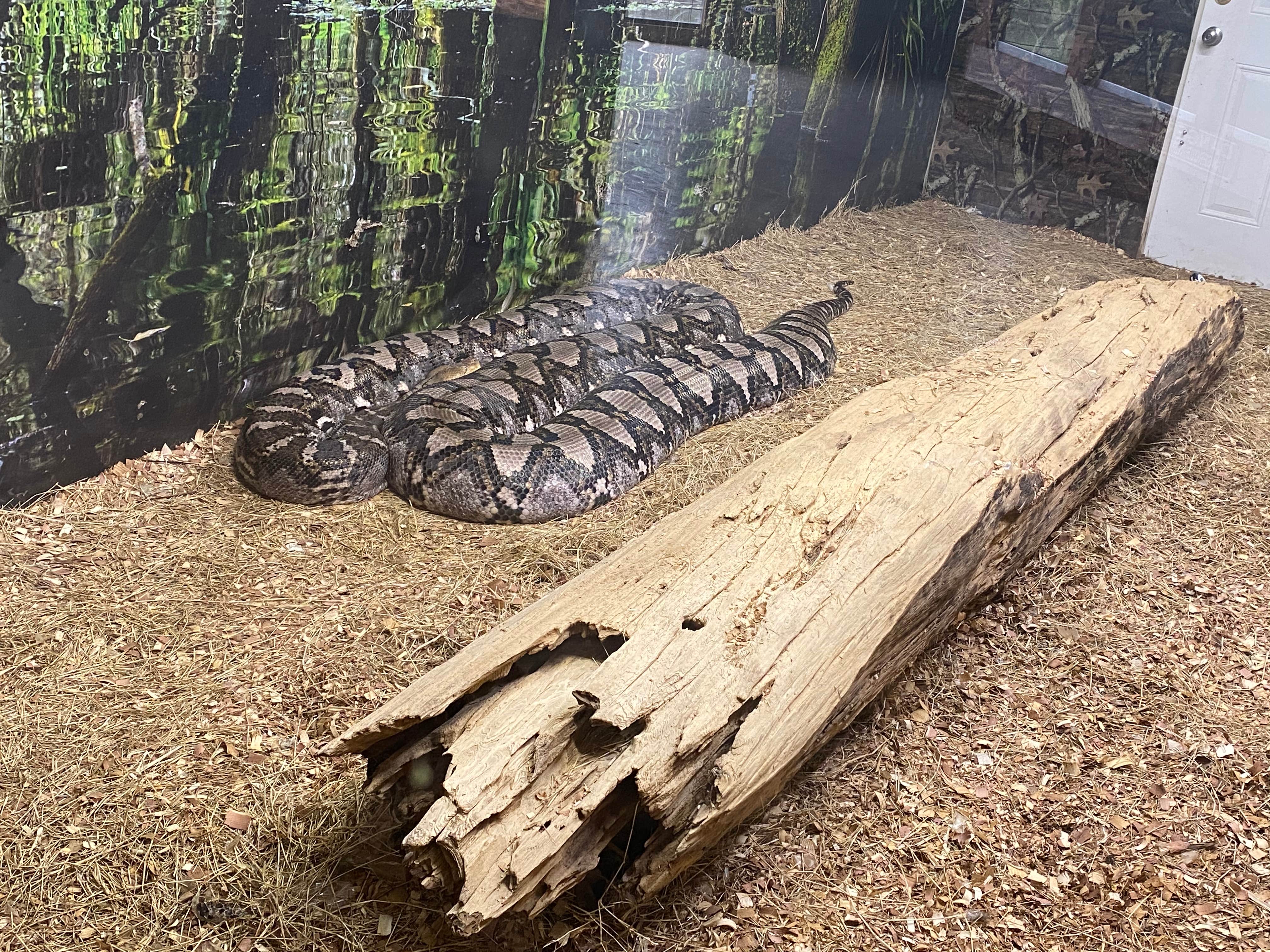 Trail Lakes Campground