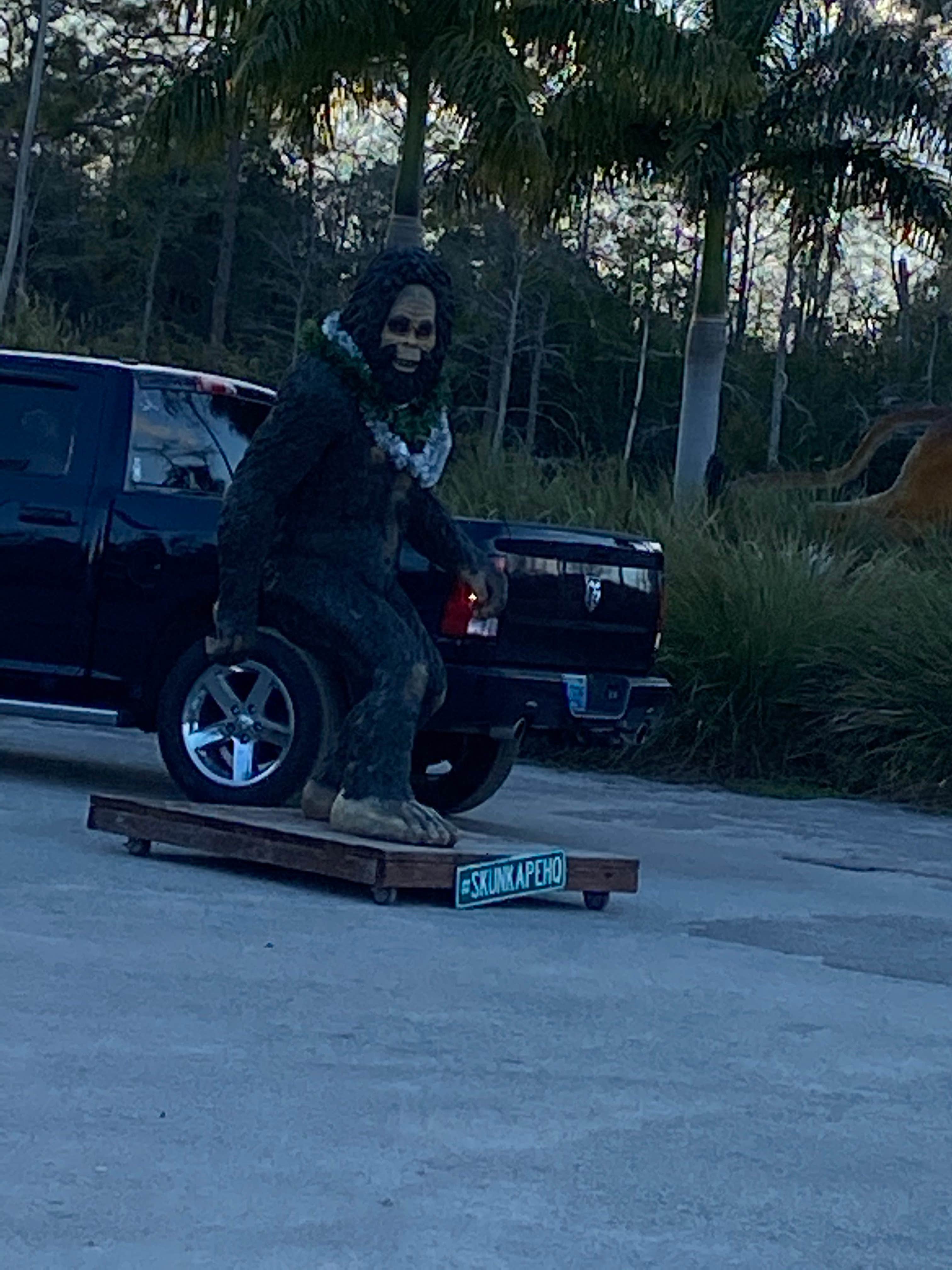 Camper-submitted photo at Trail Lakes Campground near Everglades City, FL