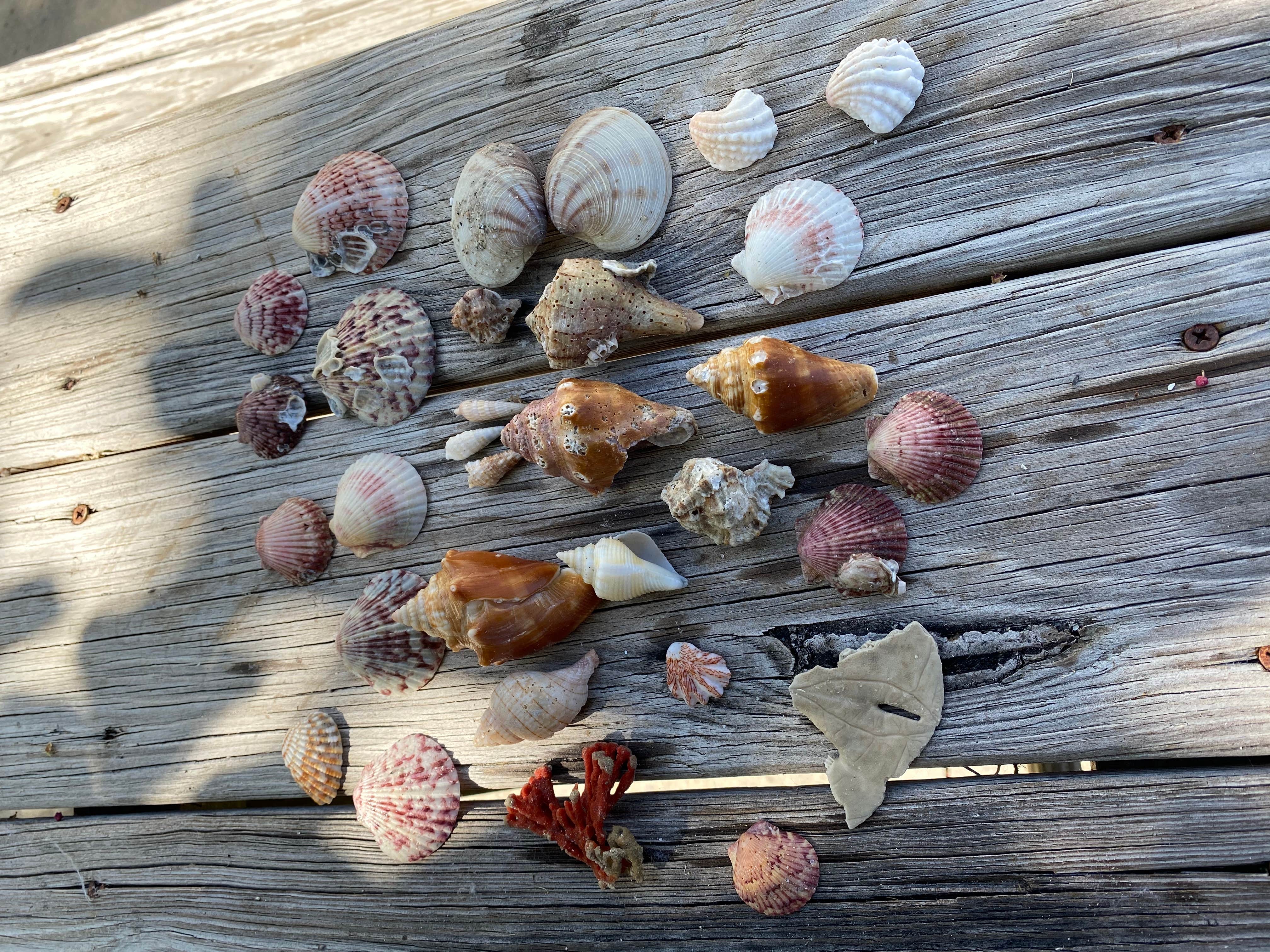 Camper-submitted photo at Periwinkle Park near St. James City, FL