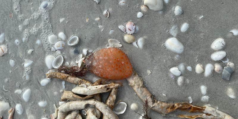 Camper submitted image from Periwinkle Park