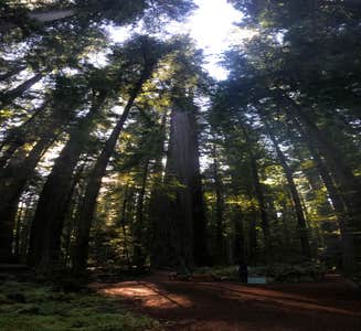 Camper-submitted photo from Hidden Springs Campground — Humboldt Redwoods State Park